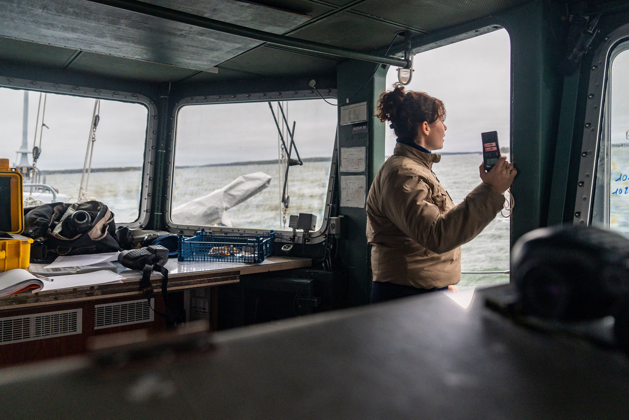 A French officer looks out from the bridge of the French minehunter FS Sagittaire as it sails during exercise Freezing Winds.

NATO and its Allies are intensifying efforts to protect vital sea routes and critical infrastructure. Exercise Freezing Winds 2025 brought together ships from Standing NATO Mine Countermeasures Group One (SNMCMG1) and other Allied units to train side by side in the Baltic Sea’s harsh winter conditions. Over several days, naval forces, divers, and mine counter-measure teams practised joint operations to ensure readiness against diverse threats — from detecting and neutralising underwater threats to responding to disruptions affecting vital sea lines of communication. This exercise complements NATO’s Baltic Sentry enhanced vigilance activity, launched in January 2025 to strengthen surveillance and monitoring across the region. The exercise took place from 24 November to 4 December 2025.