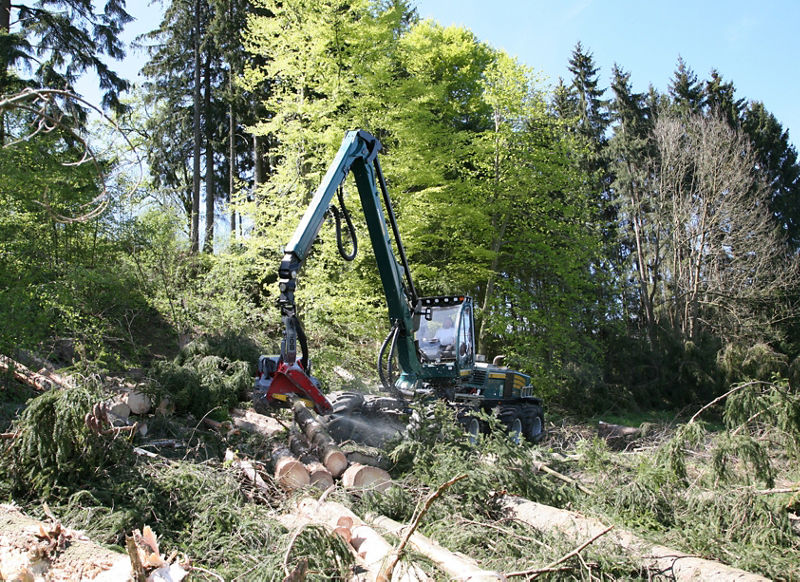 EPSILON harvester crane M160H100 