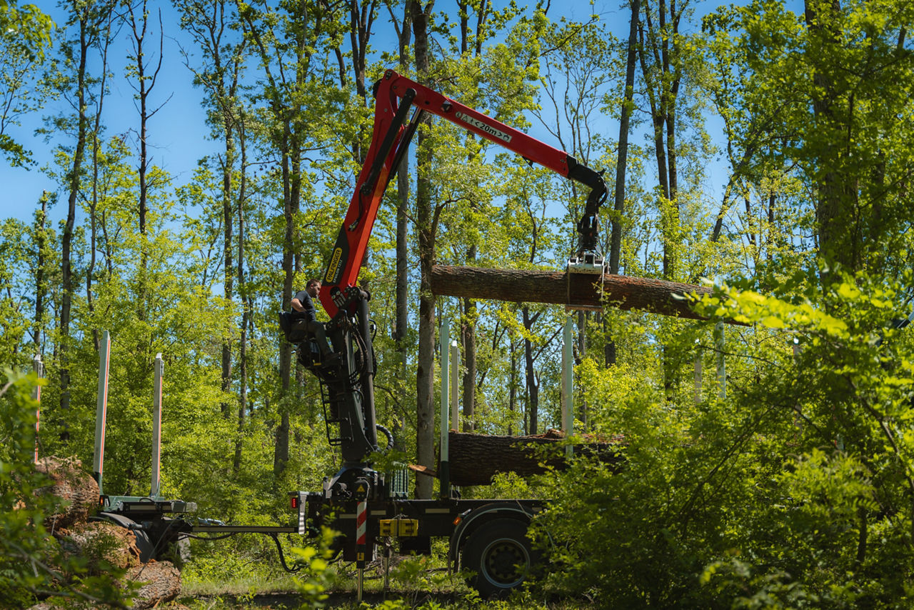 TZ12 Timber Crane