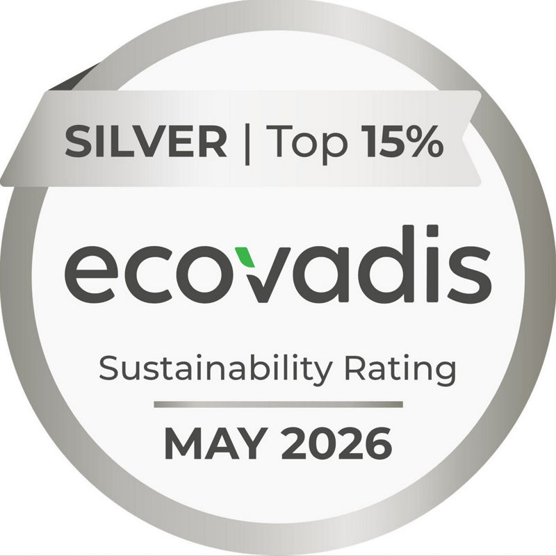 Ecovadis silver recognition PALFINGER AG