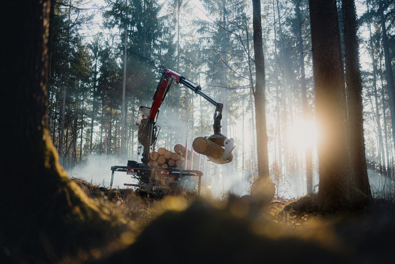 Forestry machine with a crane arm lifting cut logs in a sunlit forest, with tall trees, light mist, and stacked timber visible, showing mechanized logging operations.