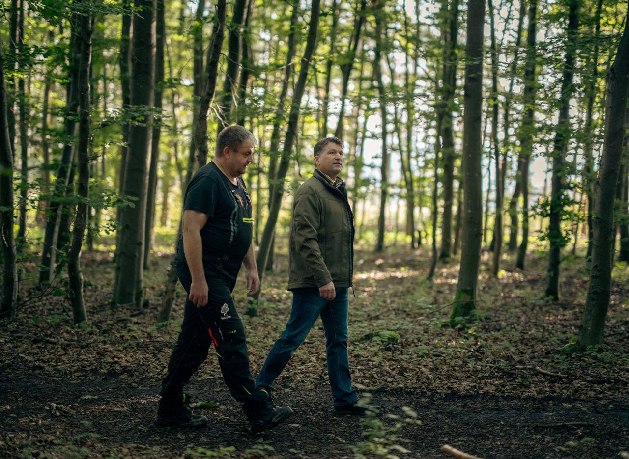 Zwei Personen bei einem gemeinsamen Spaziergang im Wald
