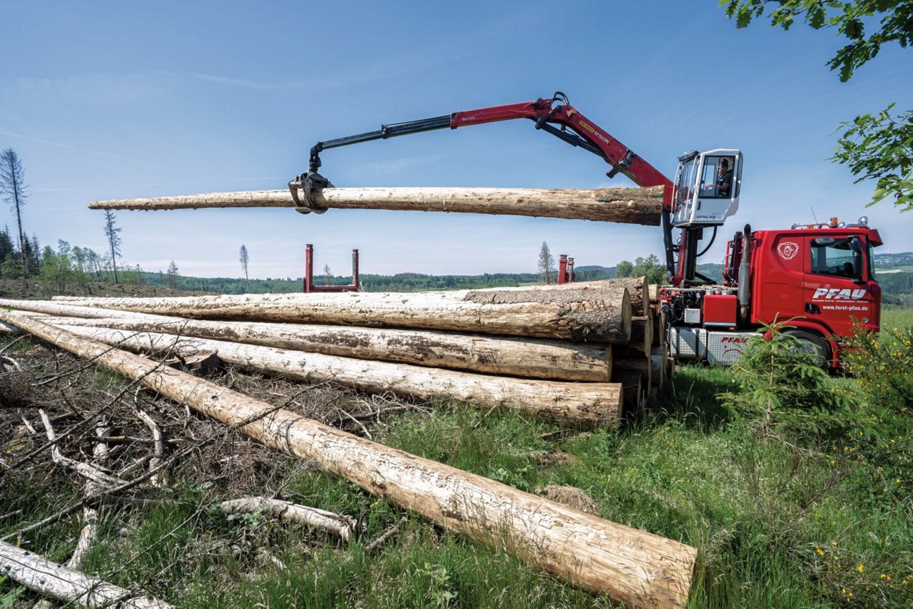 S260L Langholzeinsatz (6) (Groß)-min.jpg