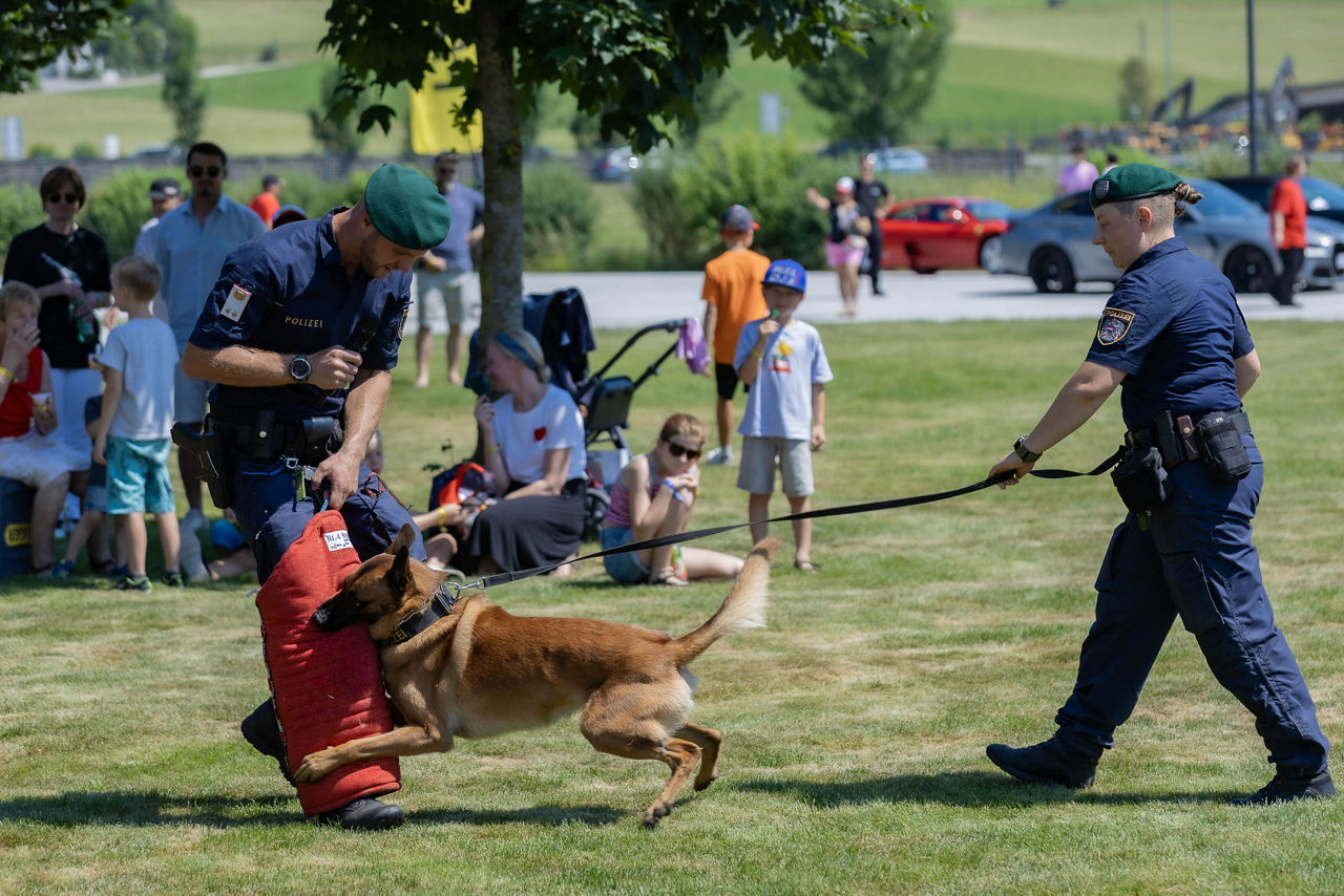 Kinderkrebshilfe Sportwagenausfahrt am Gelände der Firma Palfinger Bergheim Foto: Franz Neumayr 27.06.2026