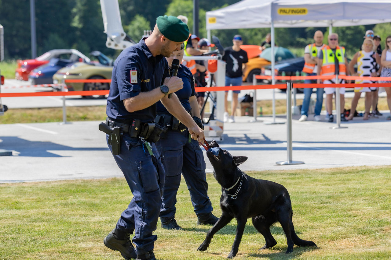 Kinderkrebshilfe Sportwagenausfahrt am Gelände der Firma Palfinger Bergheim Foto: Franz Neumayr 27.06.2026