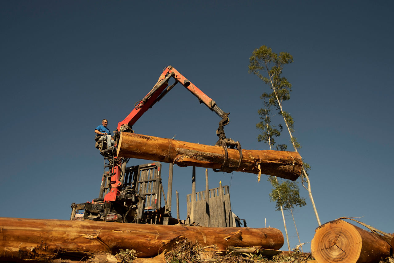 Epsilon Timber Cranes