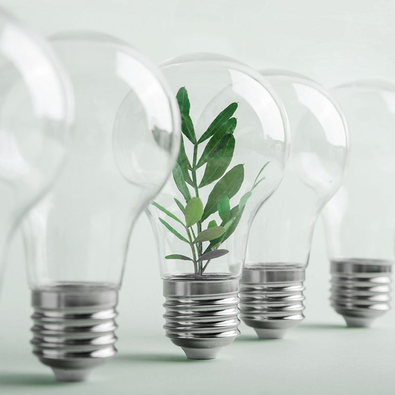 Eficiência energética e proteção climática: saiba mais sobre as ações de sustentabilidade da PALFINGER no Brasil