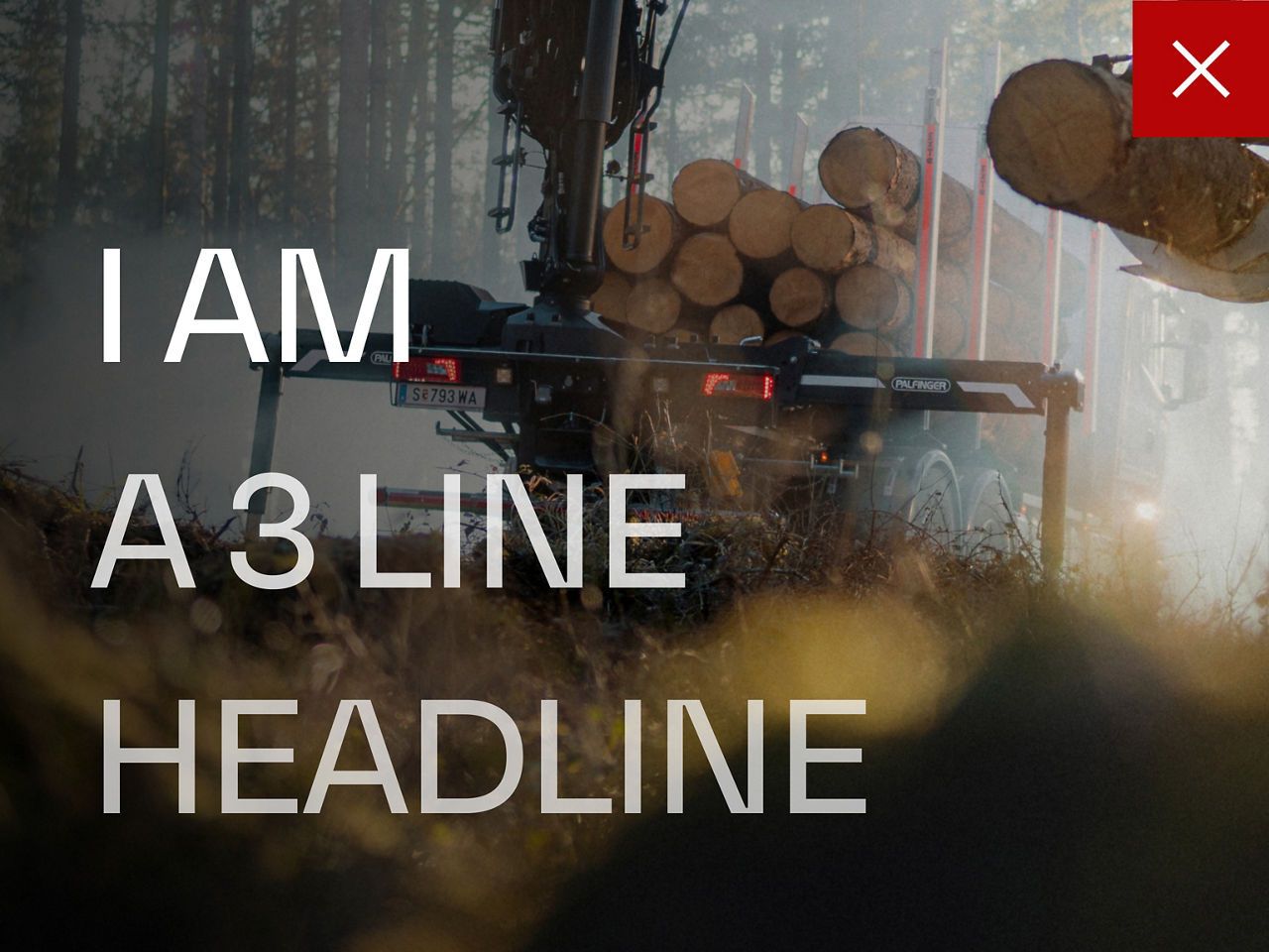 Überschrift über einem dunklen Waldbild mit übermäßigem Zeilenabstand, um den falschen Abstand für mehrzeilige Überschriften zu zeigen.