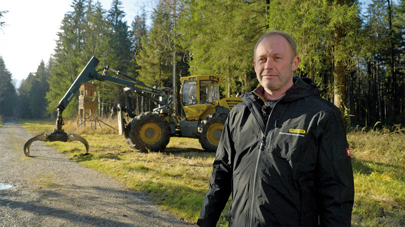 THE FOREST: A PLACE OF REGENERATION AND WORK.