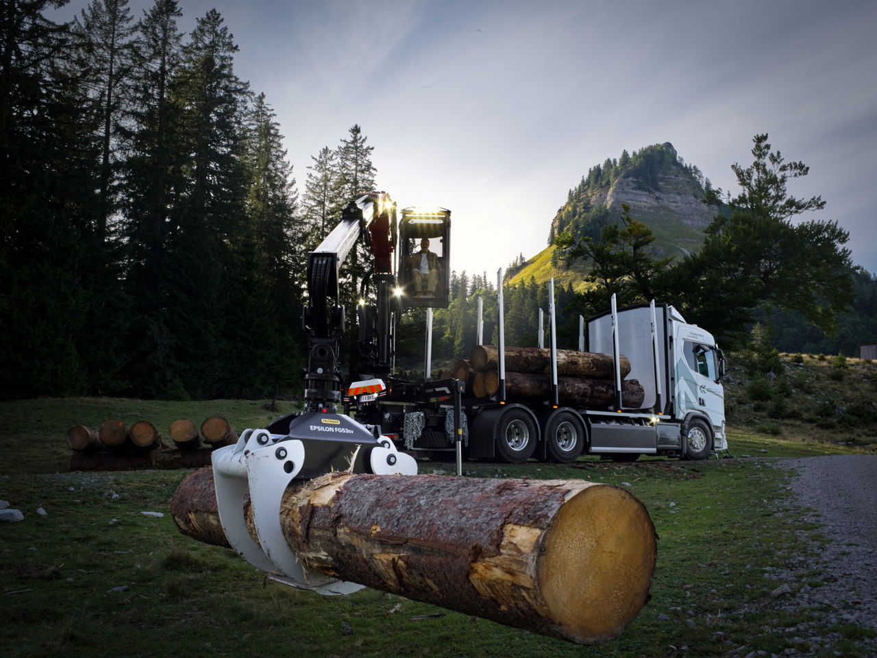 Palfinger Epsilon timber crane in the forest