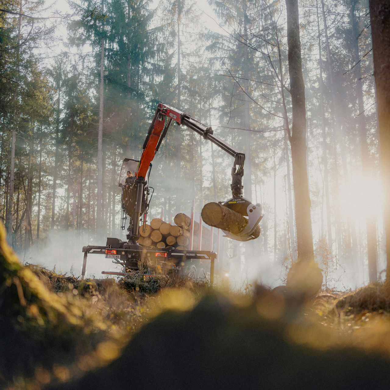 Ein Forstkran lädt geschnittene Baumstämme auf einen Anhänger in einem nebligen Wald, wobei Sonnenlicht durch hohe Bäume filtert.