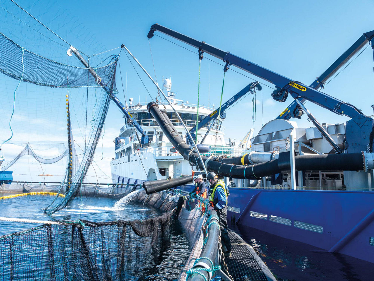 Telescopic boom crane