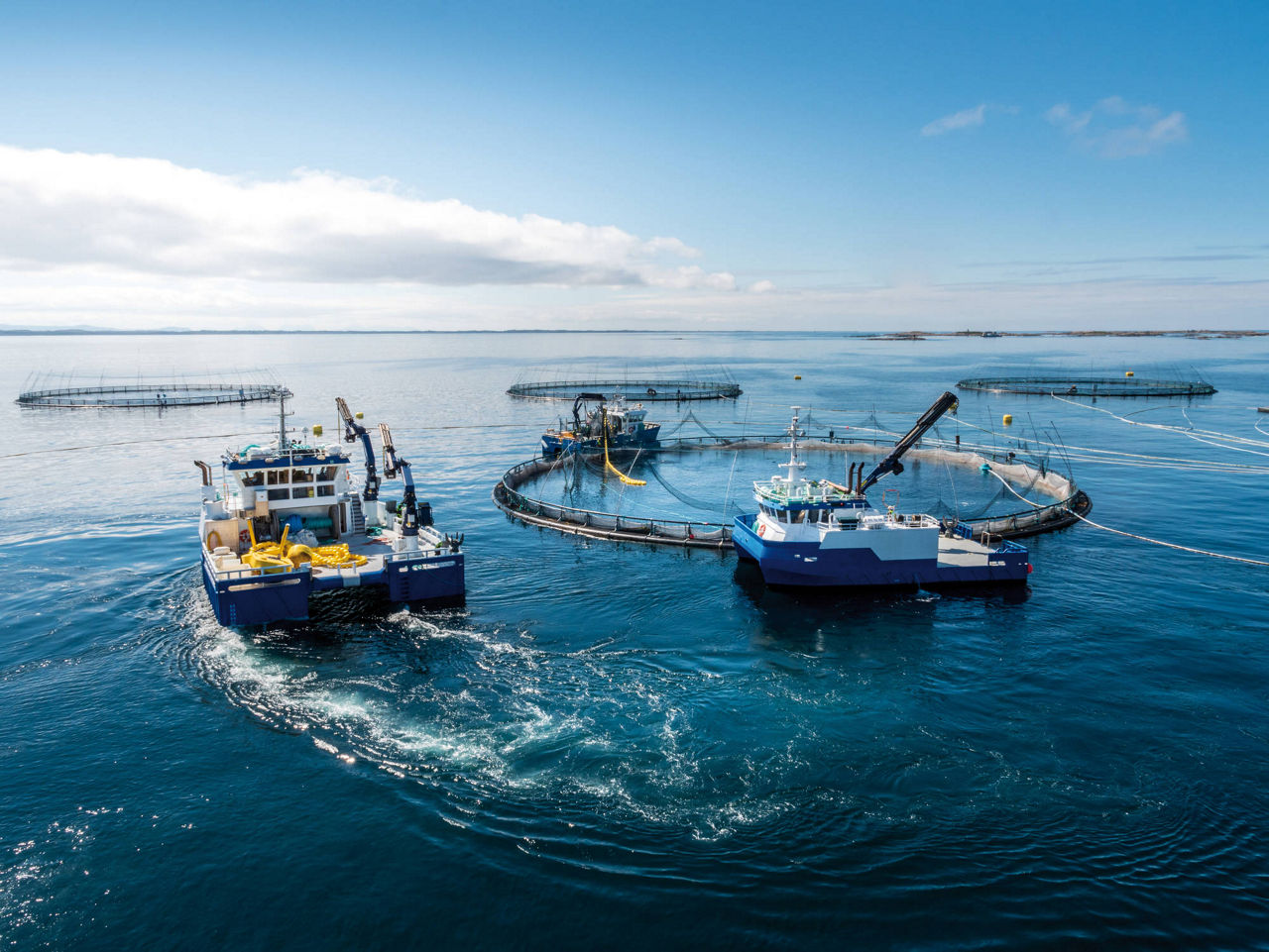 Fish farming vessels