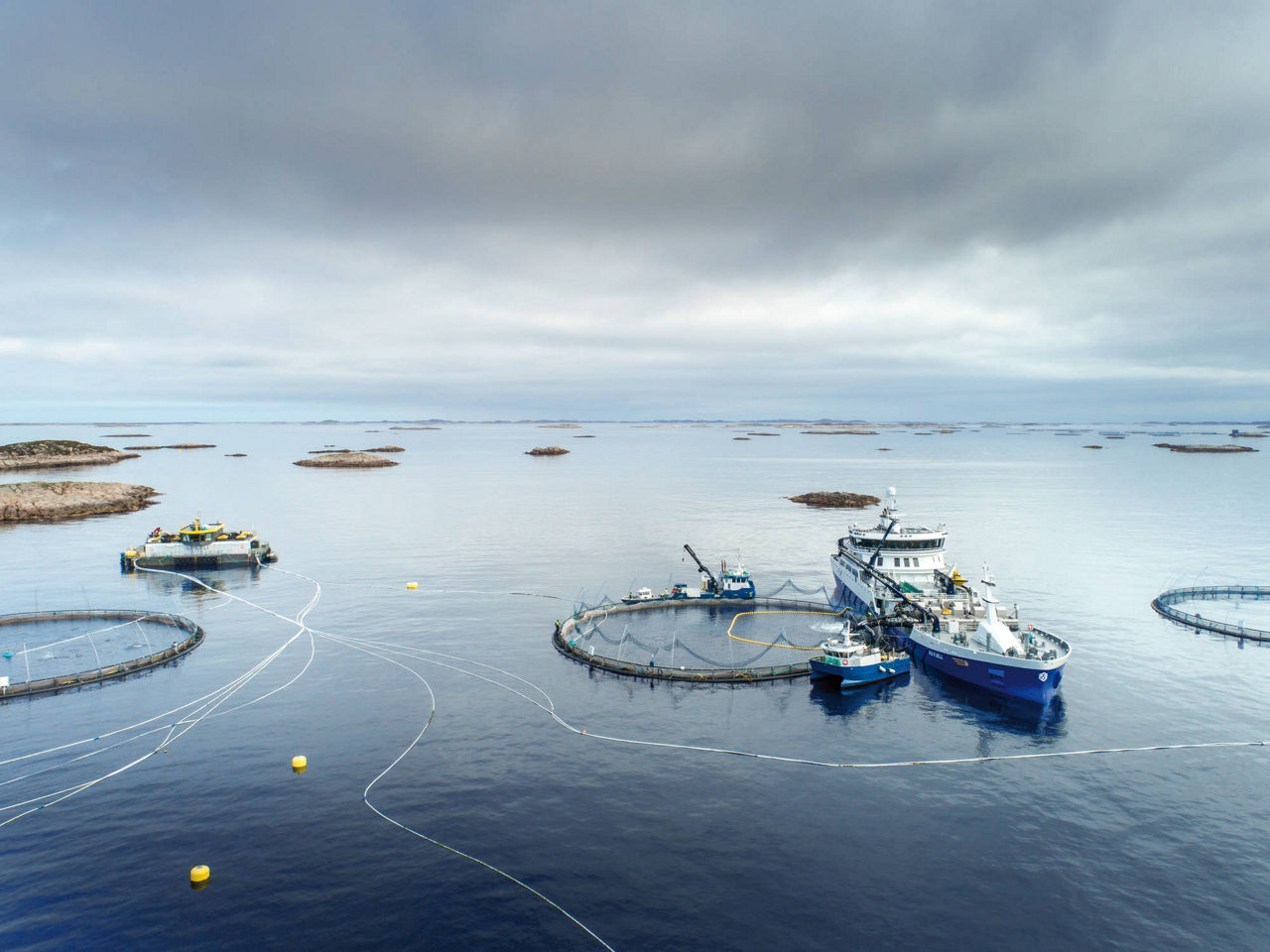 Aquaculture