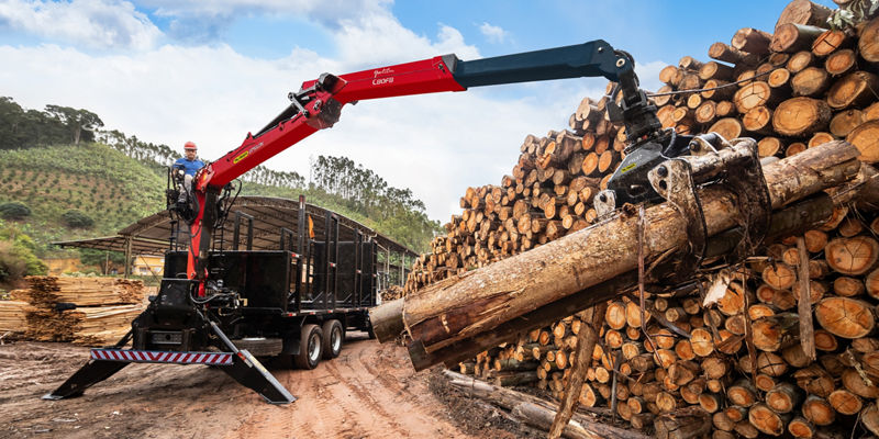 Por que os guindastes articulados para o segmento florestal da PALFINGER têm um ótimo custo-benefício? 