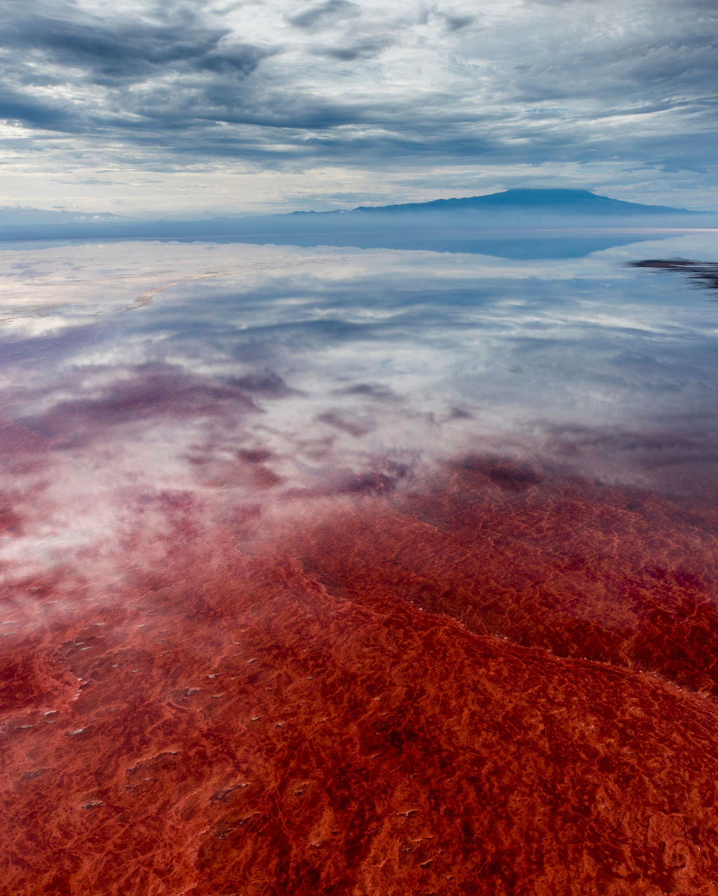 Africa, Tanzania, Enhanced contrast aerial view of patterns of red algae and salt formations in shallow salt waters of Lake Natron and distant Ol Doinyo Lengai volcano