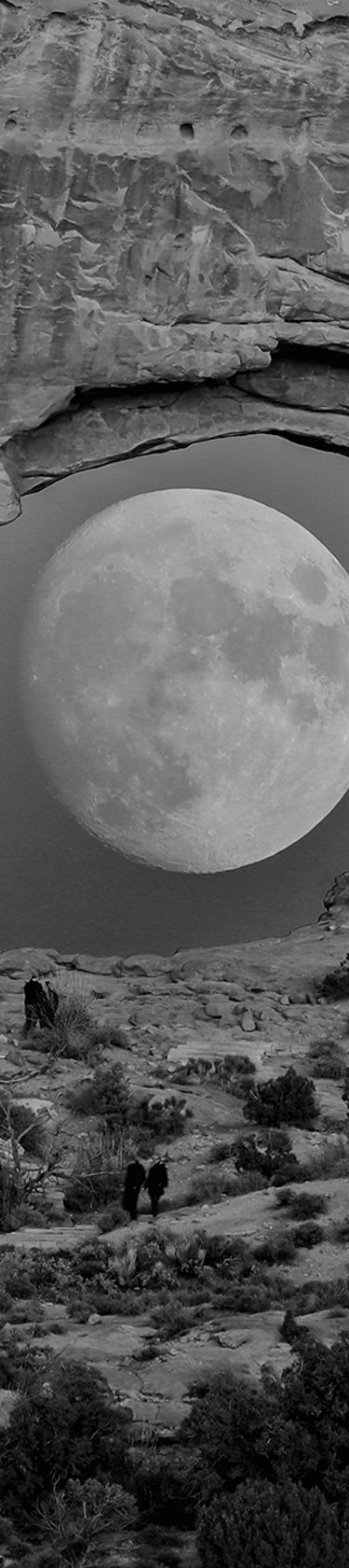 Pioneering approach - top banner Moon eye b/w.