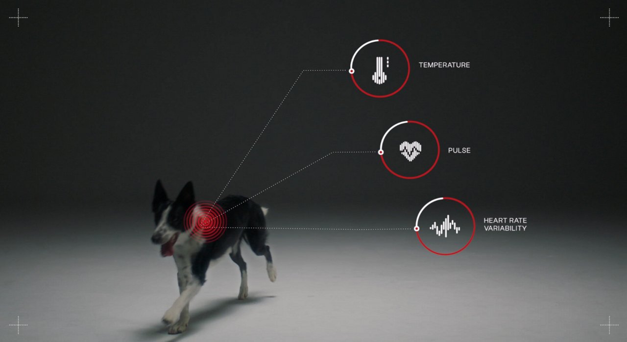 PetPace - Ein Hund mit einem Halsband, das seine Vitaldaten wie Temperatur, Puls und Atemfrequenz überwacht, dargestellt durch visuelle Symbole auf der rechten Seite. Die Technologie überwacht die Gesundheit des Tieres in Echtzeit