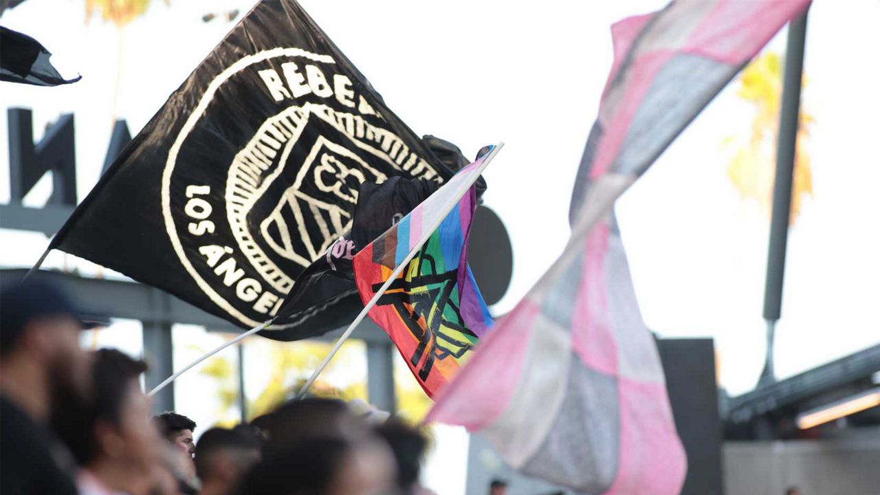 Pride and transgender flags are held aloft among other flags at a public event. The photo symbolizes diversity, visibility, and support for the LGBTQIA+ community.