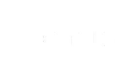 Decathlon logo