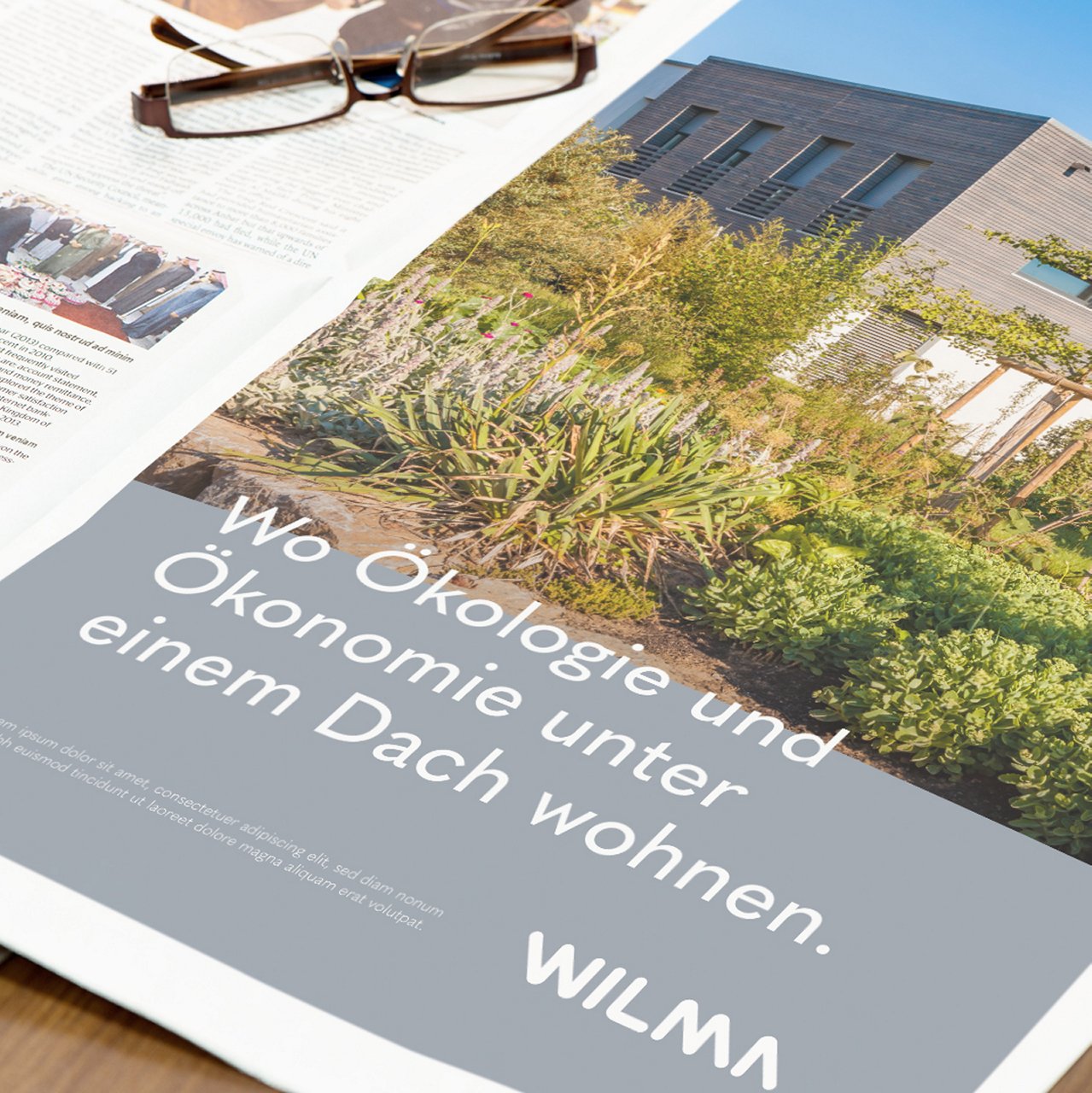 wilma7