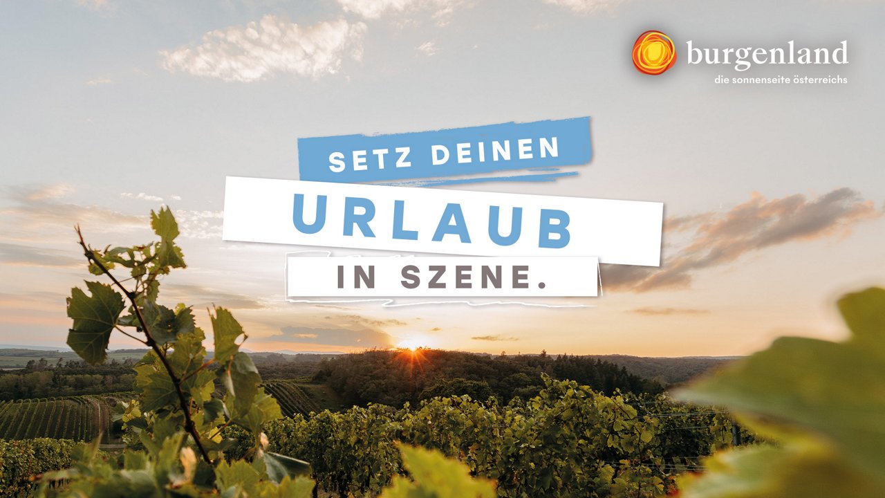Blick über Weinanbaugebiet im Burgenland in Abenddämmerung mit Schriftzug Setz deinen Urlaub in Szene