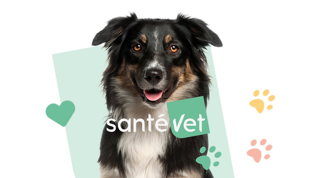 Dog with Santevet text