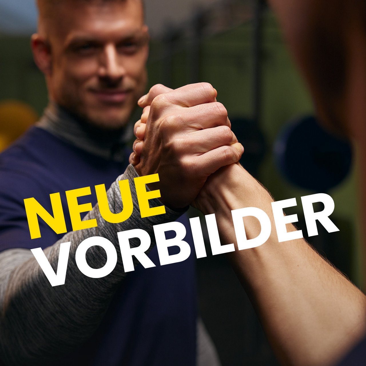 nv1