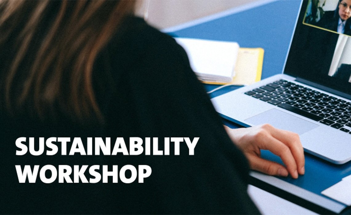 Mediaplus Sustainability Workshop Laptop Call