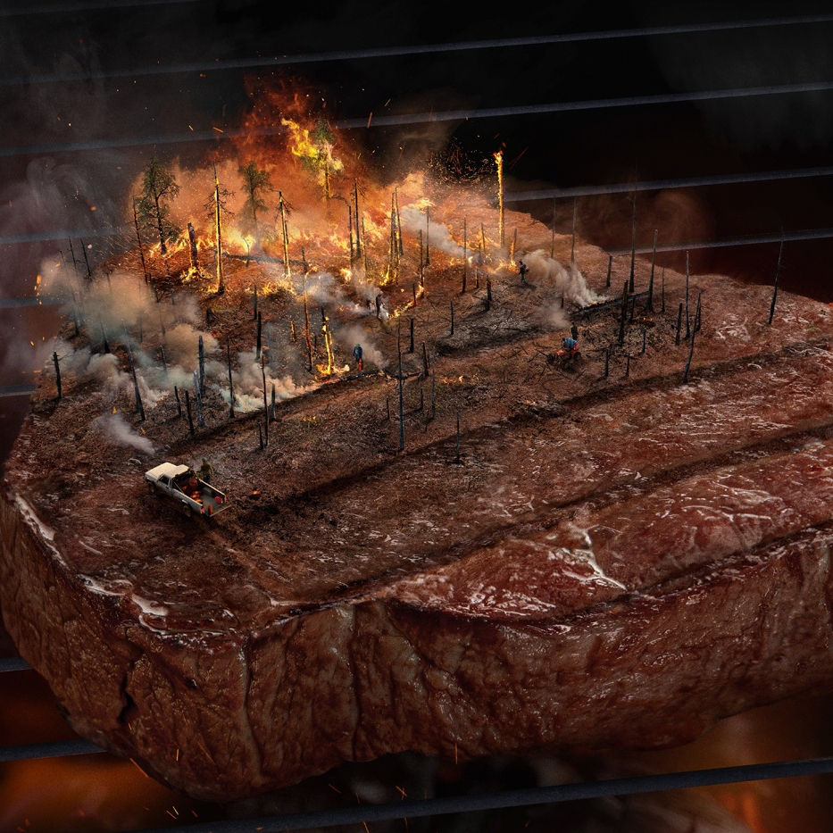 Satirische Darstellung der Abholzung des Regenwaldes auf einem Steak, symbolisierend den Zusammenhang zwischen Fleischkonsum und Umweltzerstörung durch Waldbrände