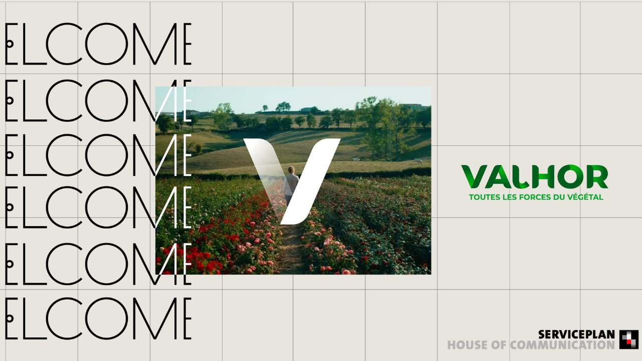 Design sans titre - 1