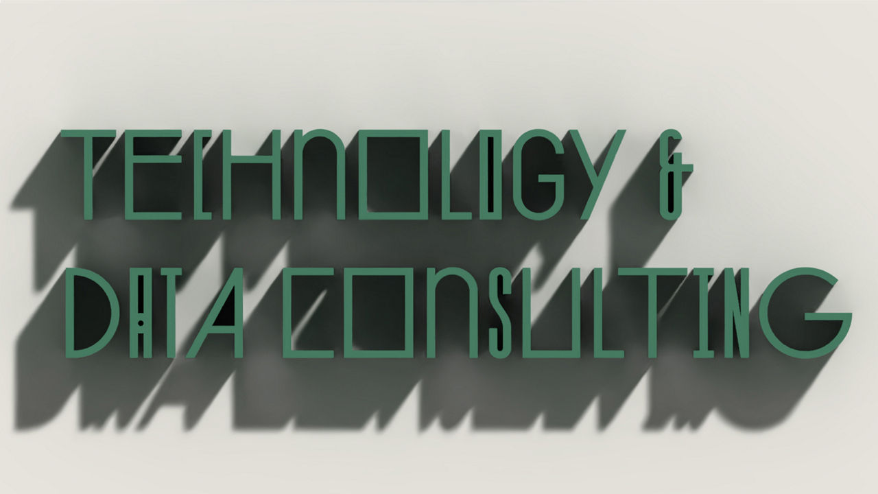 Data & Technology Consulting