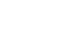 Vrienden der blinden