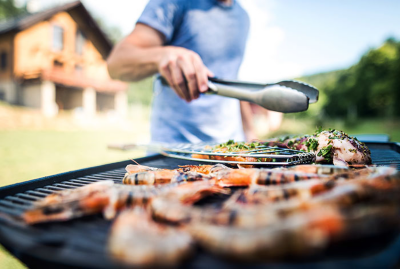 Barbecue et plancha