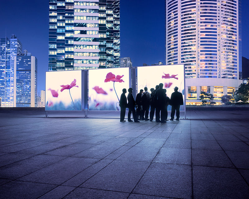 <p>Live the</p>
<p>City</p>
