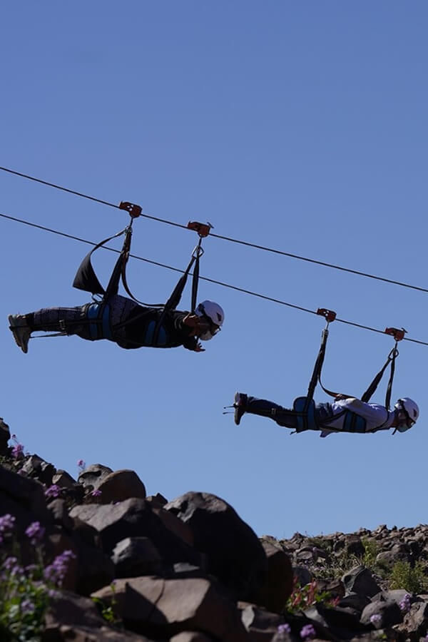 AlUla Zipline | Things to Do | Experience AlUla 