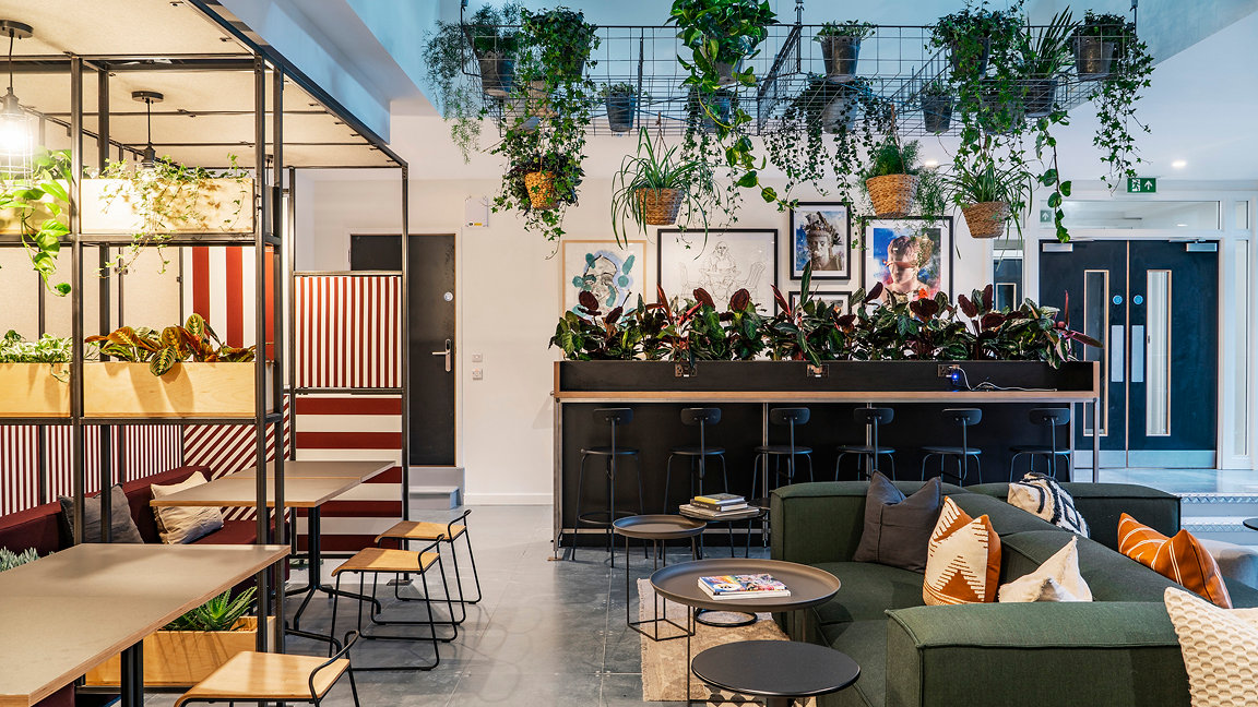Flexible workspace interior with sofas, desks, and plants that are hanging from the ceiling