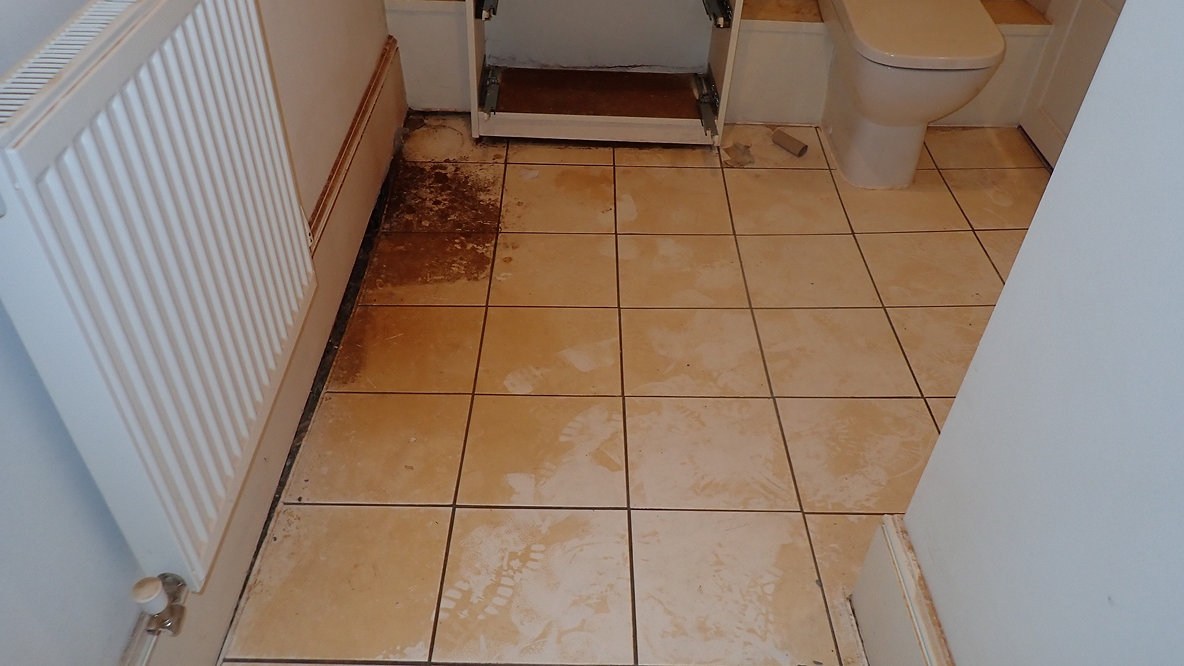 How to identify and tackle dry rot 