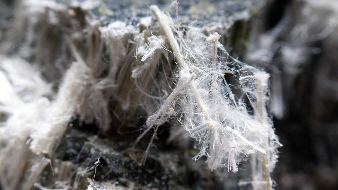 Asbestos chrysotile fibres