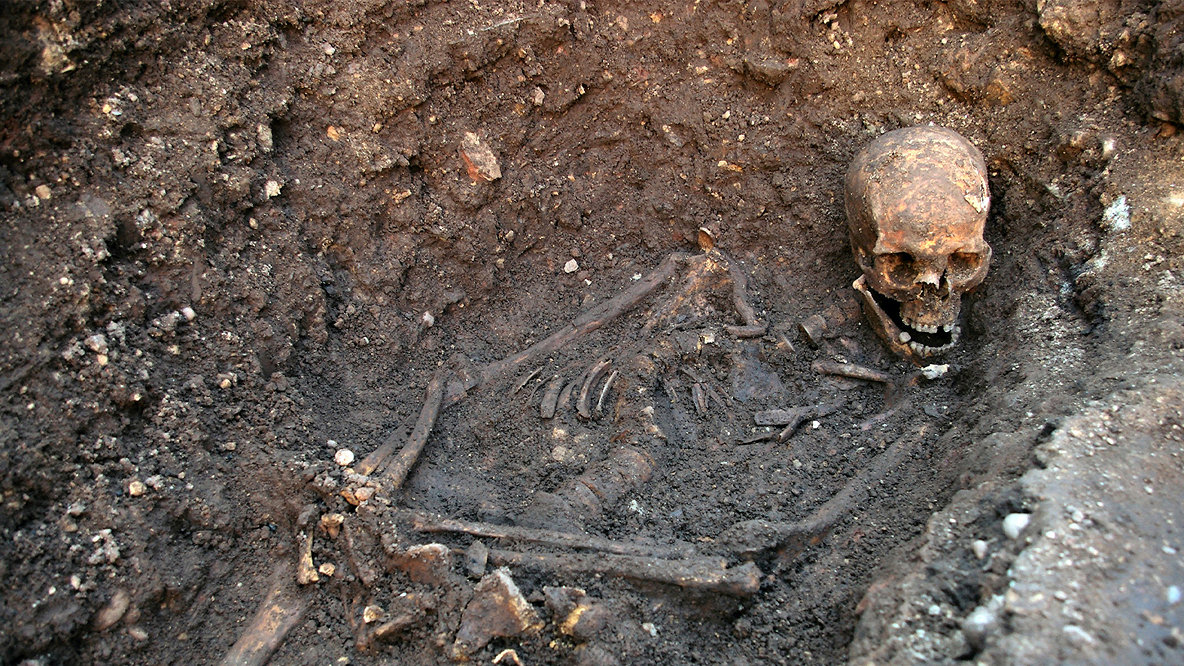 Buried deep: nine of the strangest building site finds