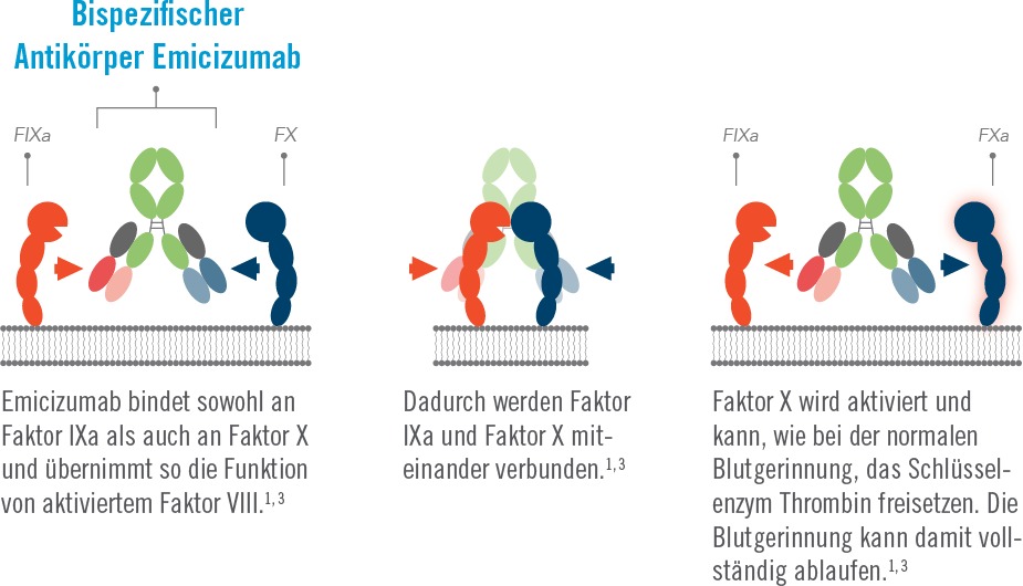 Hemlibra_Wirksamkeit