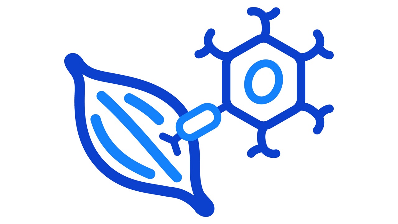 Krankheitsbild der Spinalen Muskelatrophie (SMA)