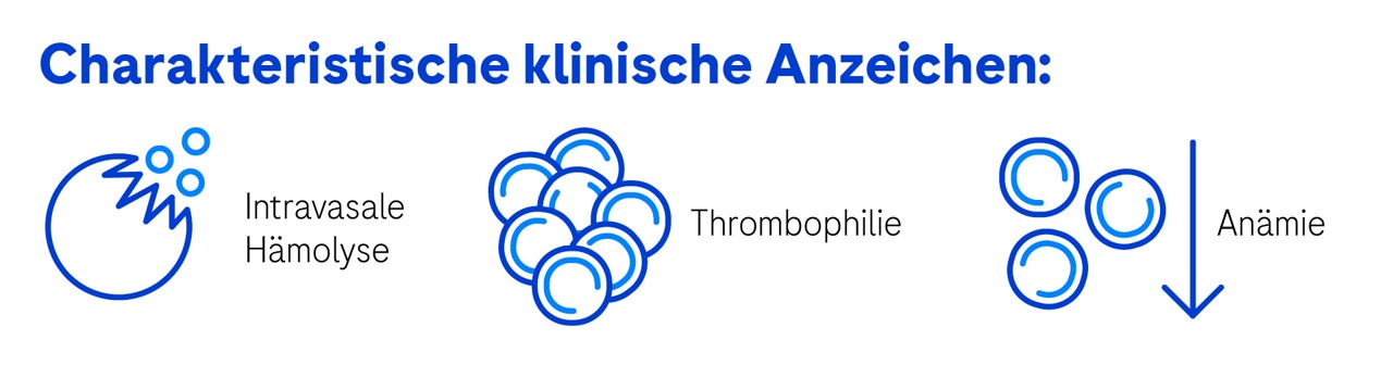 Zu den charakteristischen klinischen Anzeichen von PNH gehören unter anderem eine intravasale Hämolyse, eine Thrombophilie mit Neigung zu Thrombosen an typischer und atypischer Lokalisation und eine Anämie.