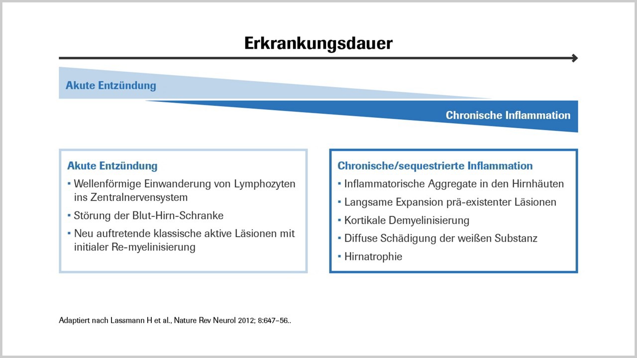Abbildung 1: Pathologische Merkmale der MS über den zeitlichen Verlauf der Erkrankung