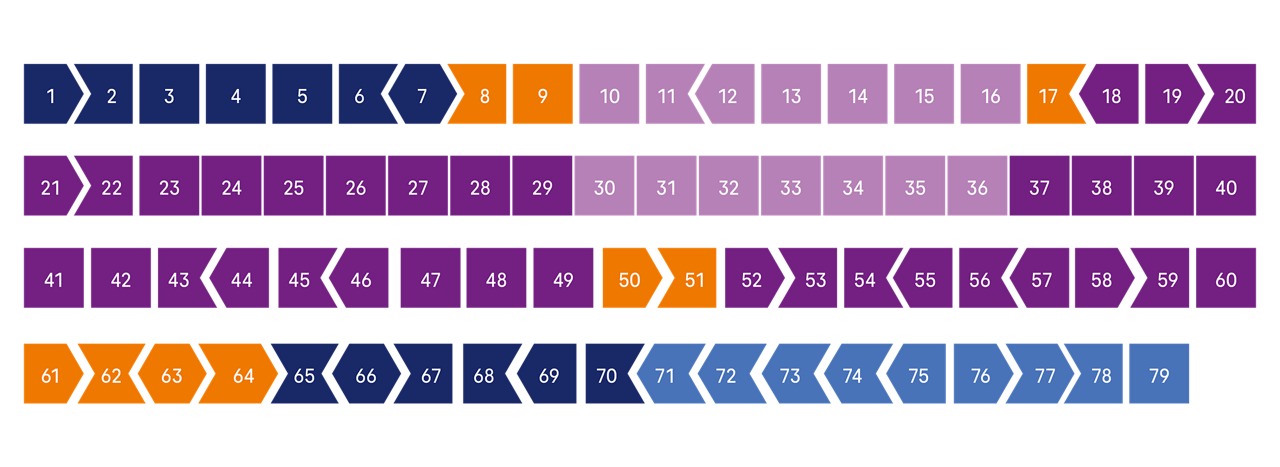 Darstellung der 79 Exons, die für das Dystrophin-Protein codieren mit farblicher Kennzeichnung unterschiedlicher Bereiche.