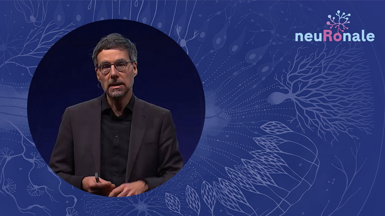 Image mit Link zu Video 6