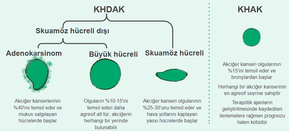 akciger-kanseri-cesitleri_image
