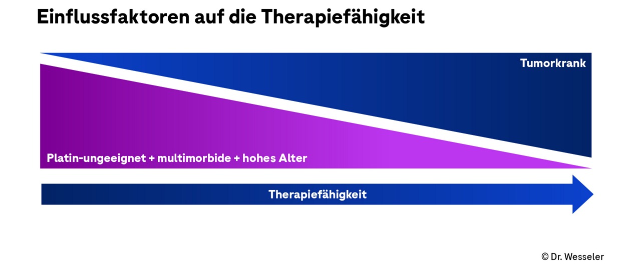 Einflussfaktoren auf die Therapiefähigkeit