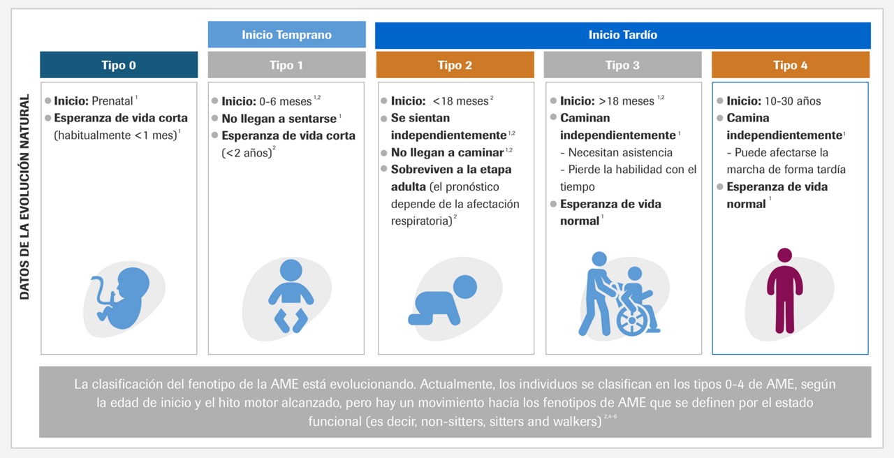 Datos de la evolucion natural AME