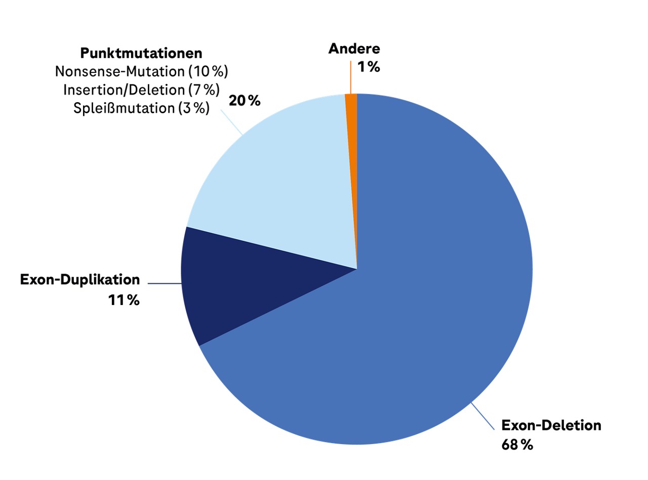 Kuchendiagramm zur Darstellung des Anteils möglicher genetischer Veränderungen bei DMD-Patienten.
